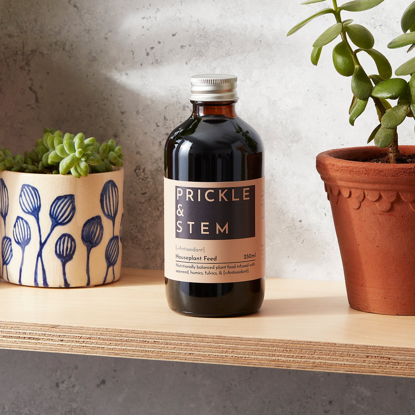 Prickle & Stem Starter Plant Care Set