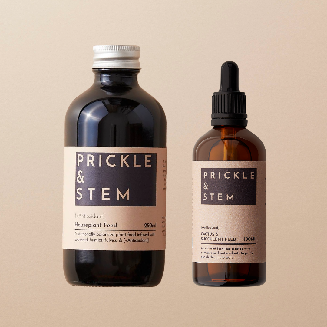Prickle & Stem Starter Plant Care Set