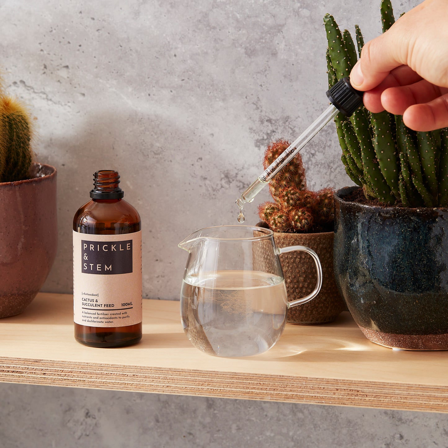 Prickle & Stem Starter Plant Care Set