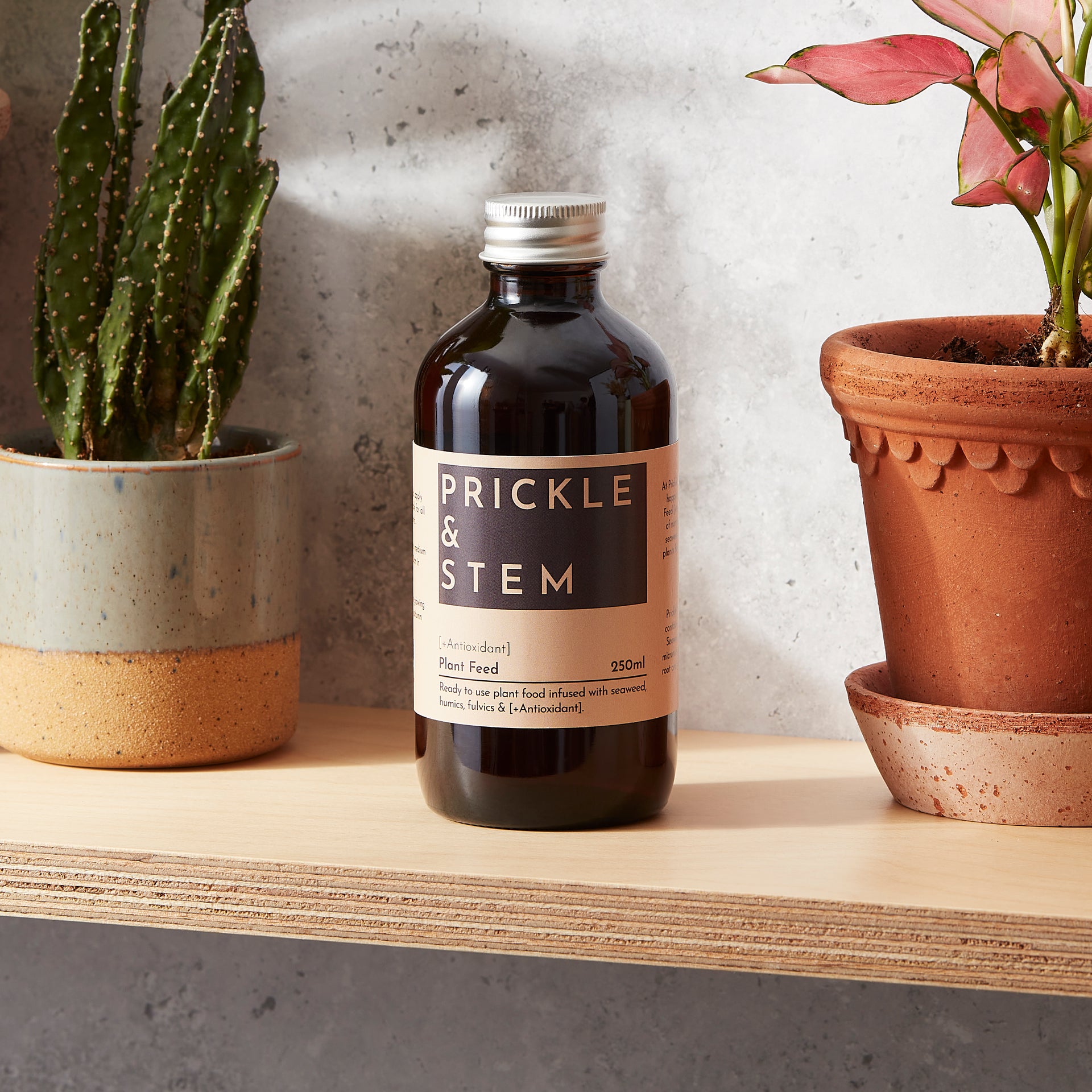 Houseplant Feed [+Antioxidant] – Prickle & Stem