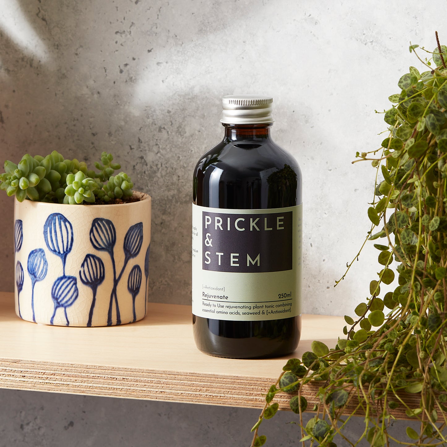 Ready to Use Rejuvenate Plant Tonic [+Antioxidant]