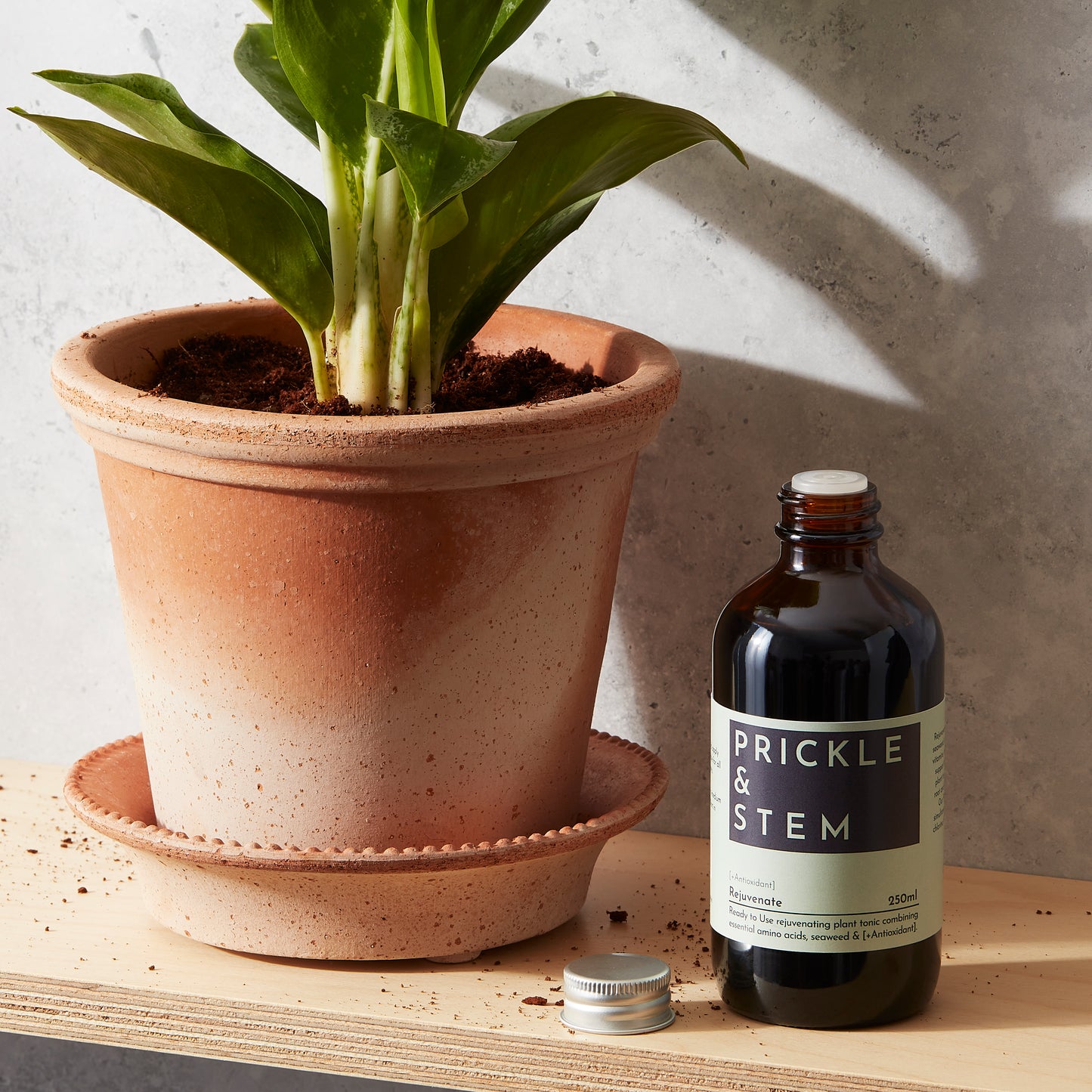 Ready to Use Rejuvenate Plant Tonic [+Antioxidant]