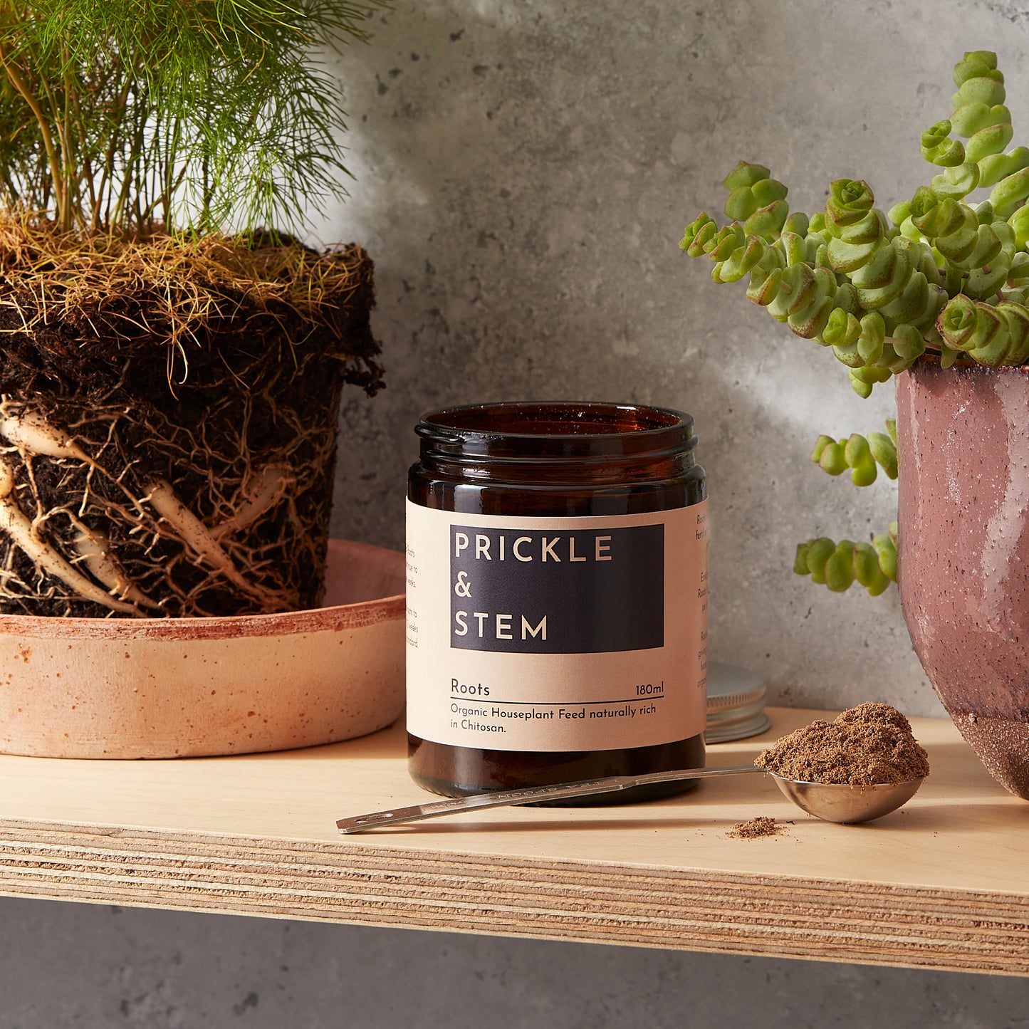 Organic Houseplant Food [Roots]